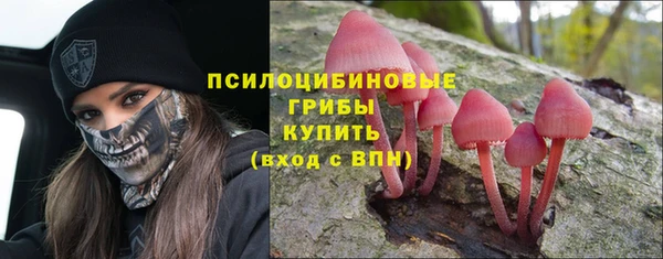 марки lsd Алексеевка