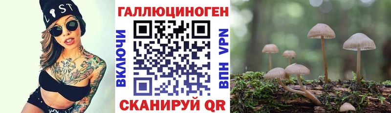Псилоцибиновые грибы прущие грибы  где купить наркоту  Нижний Тагил 