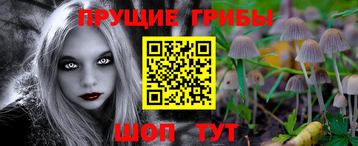 Псилоцибиновые грибы Cubensis Нижний Тагил